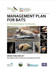 NWT Bat Management Plan