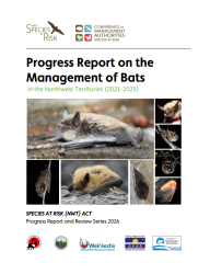 Bat Progress Report