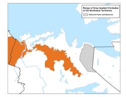 gray-headed chickadee - map