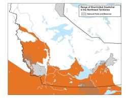 short-billed dowitcher - map