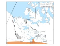 range map - silver-haired bat