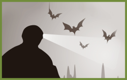 Underground Habitat Poster