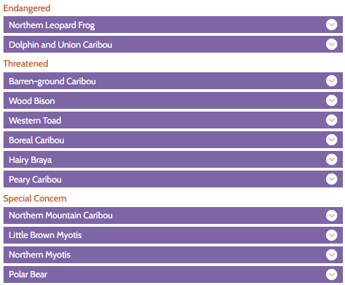 NWT List of Species at Risk 2026