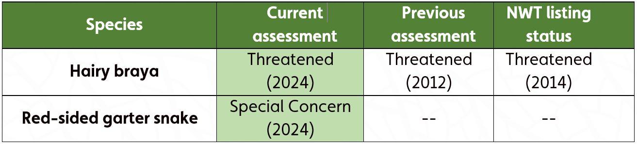 Table - 2024 Assessments