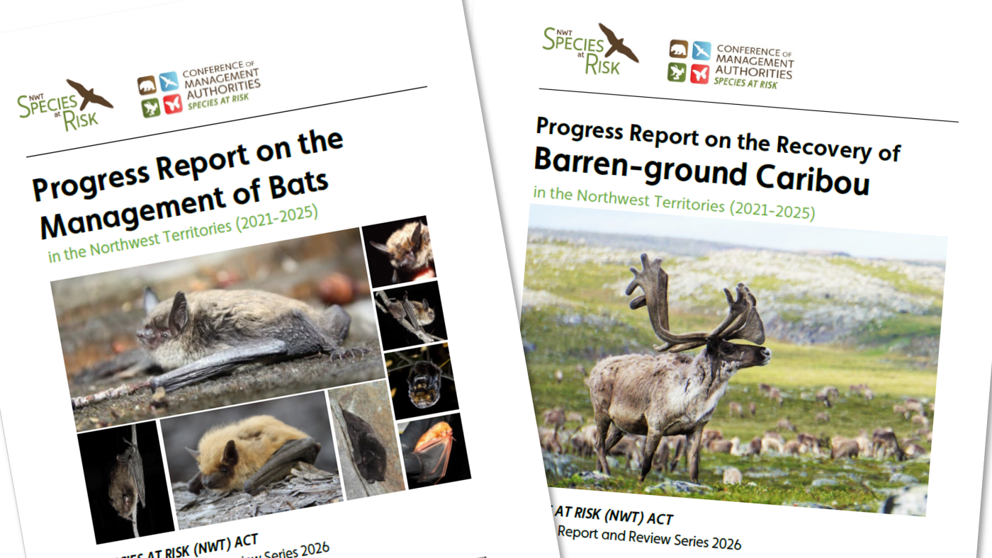 2026 Progress Reports