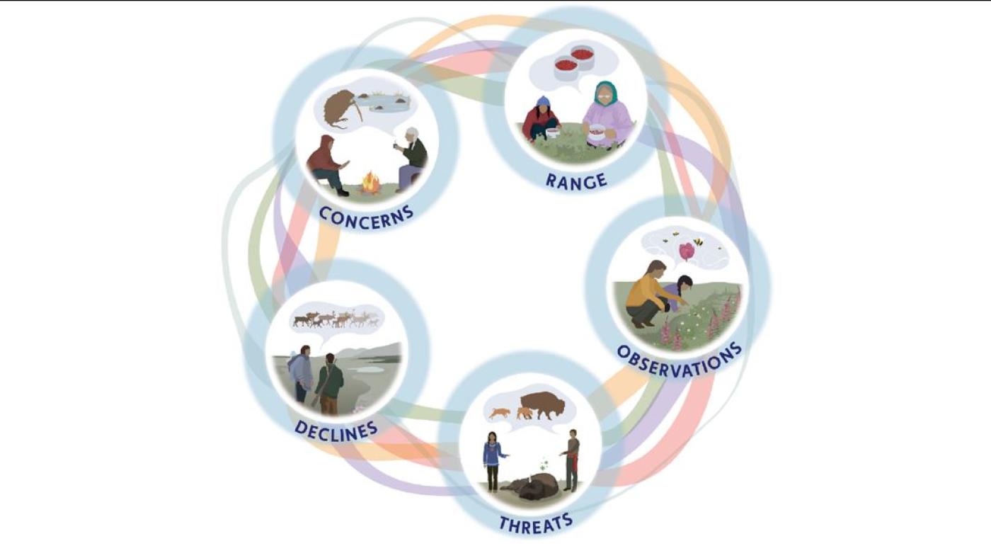 Circle graphic - Horizontal