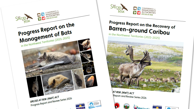 2026 Progress Reports