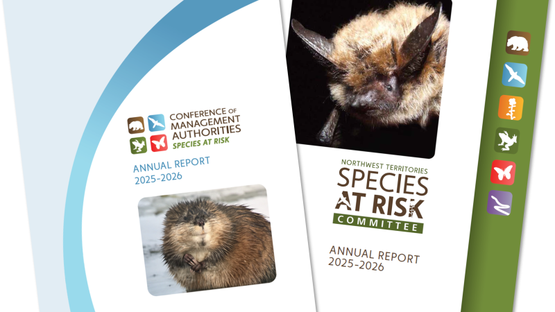 Annual Reports 2025-26