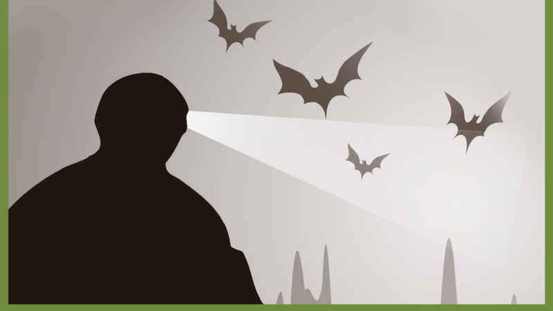 Underground Habitat Poster